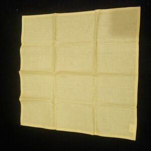 Solino Home Fete Dinner Napkins x4 Lemon Ice Color 20" x 20" NIB